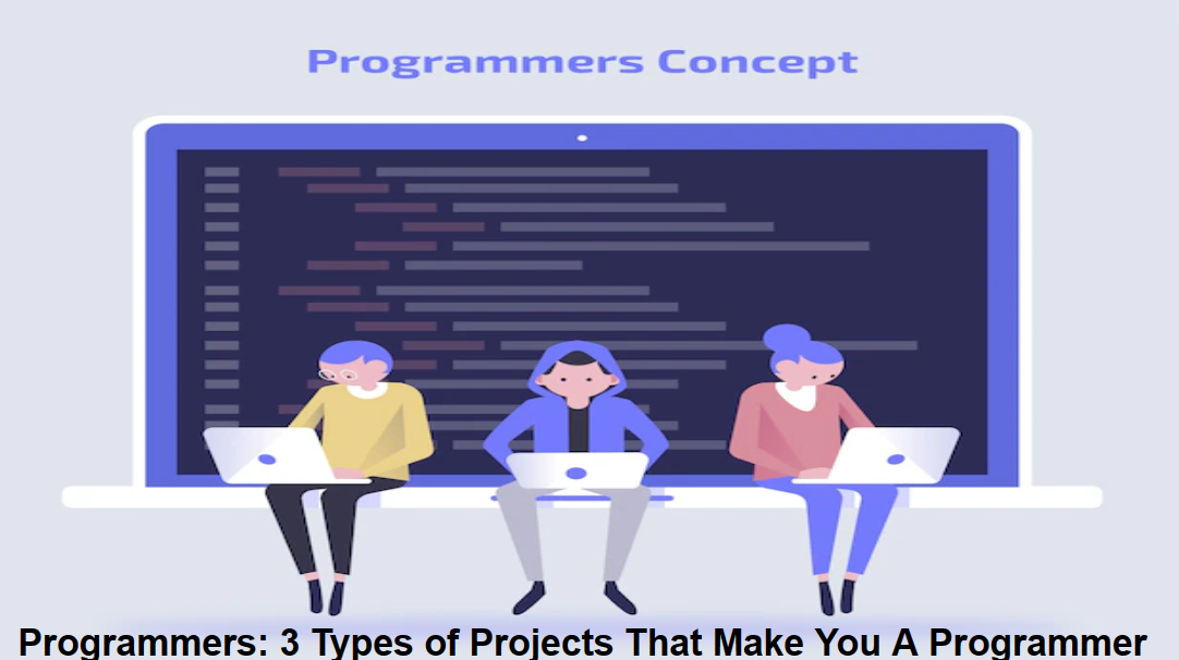 programmer Skilled Programmer Engaged in Project Development
